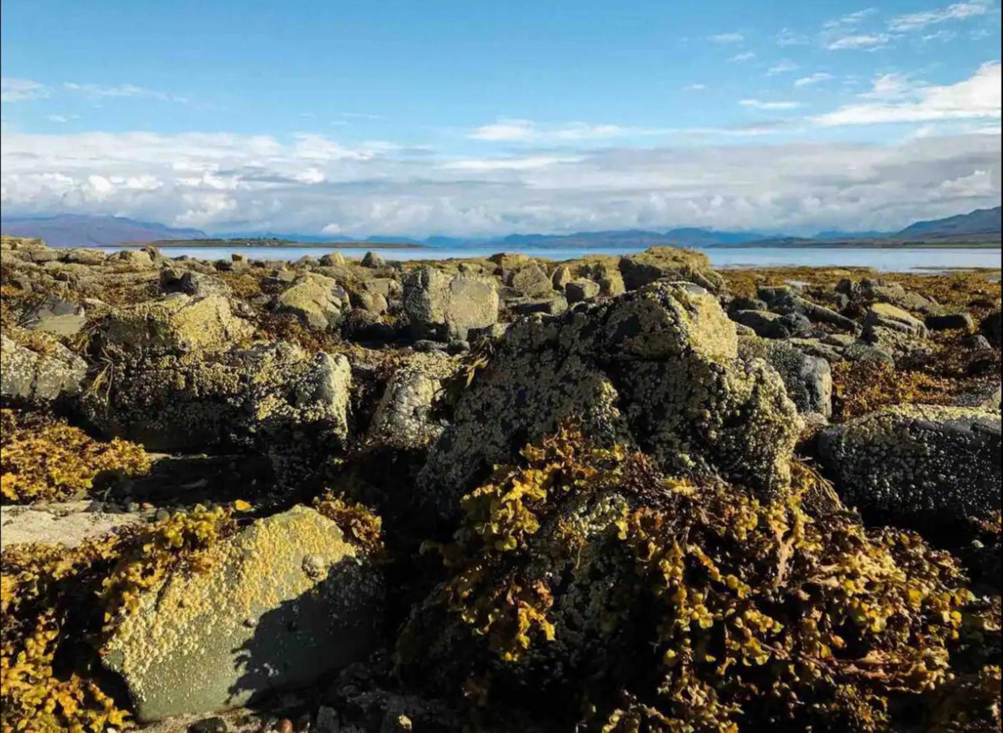 Mackinnon Cottage - 3 Bedroom Cottage Broadford (Isle of Skye) Luaran gambar
